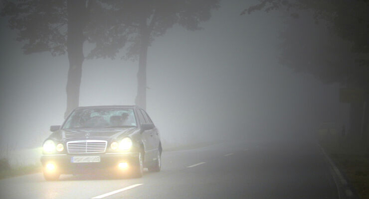 Herbst, Nebel, Mercedes-Benz