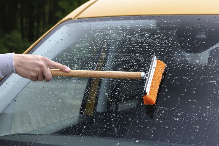 Autopflege im Sommer: Insektenreste schnell entfernen - firmenauto